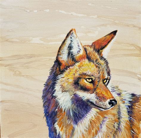 Desert Coyote in 2020 | Acrylic painting canvas, Painting, Native american masks