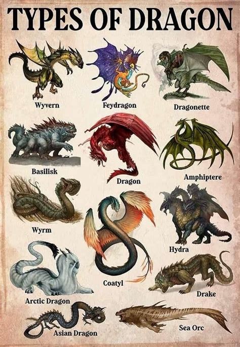 Pin by John Jones on Dragons | Dragon artwork fantasy, Types of dragons, Fantasy creatures art