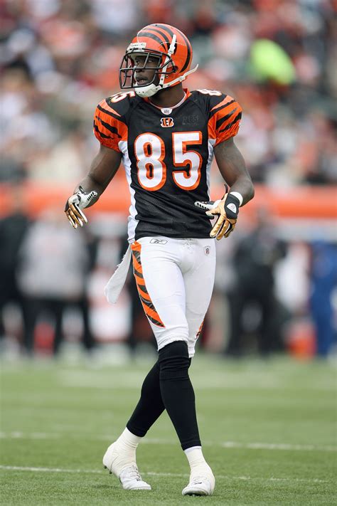 Chad Ochocinco and 10 Other Athletes That Could've Made a Living in ...