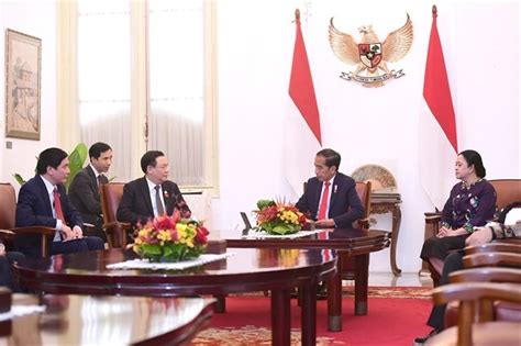 Vietnam, Indonesia to raise trade to $15 billion by 2028: Leaders ...