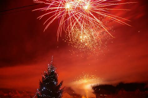 Free Images : landscape, tree, winter, trees, fireworks, beauty, event, salute, living nature ...