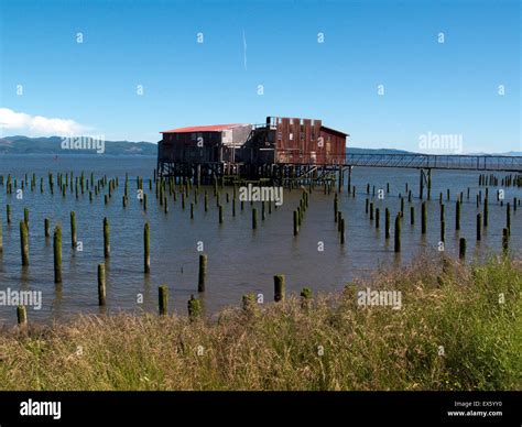 Astoria, Oregon, USA. Astoria waterfront where hundreds of pilings ...