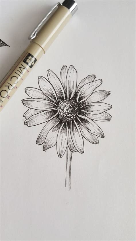 fineliner daisy! #daisy #inkdrawing #fineliner | Flower drawing, Fineliner art, Micron pen art