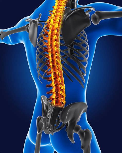 Myelopathy Treatment in Fairfax, VA and Potomac, MD | SAPNA: Spine and ...