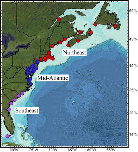 Sea Level Rise Map United States Map - vrogue.co