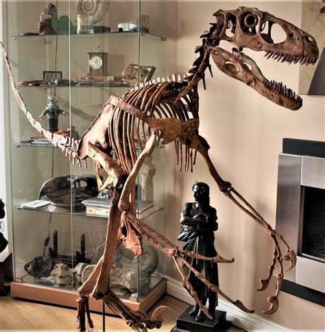 DEINONYCHUS RAPTOR Dinosaur Skeleton Fossil Replica 9 1/2 - Etsy UK