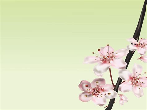 Nature pink ppt design PPT Backgrounds, Nature pink ppt design ppt ...