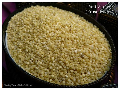 Chasing Taste: Introduction to Millets (Varagu, thennai, saamai, kuthiravalli etc) - Cooking ...