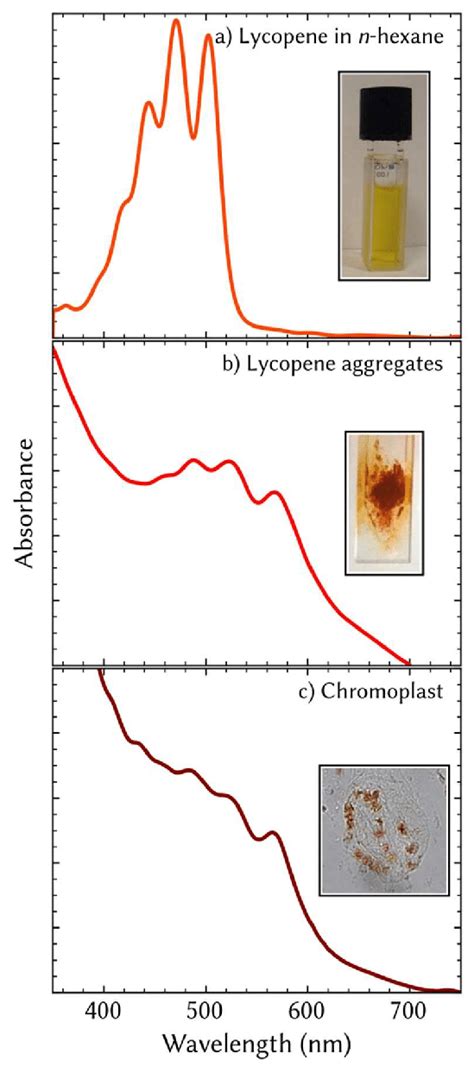 Absorption spectra of lycopene in n-hexane (a), lycopene... | Download ...