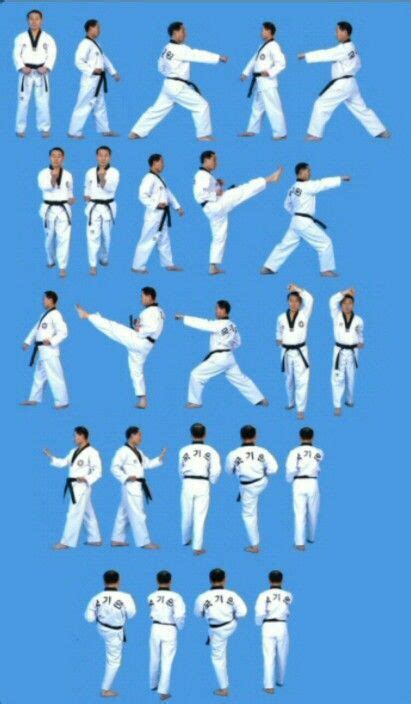 Pin on TKD