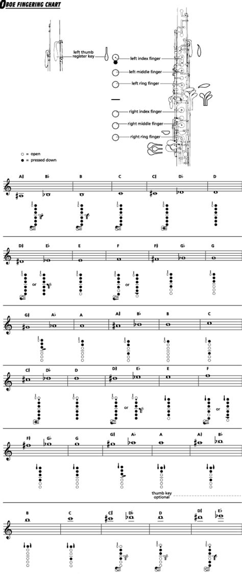 Oboe Fingering Chart Sample Free Download