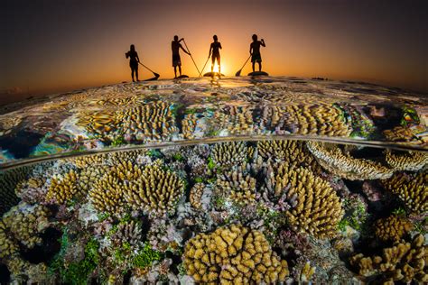 Global Fund for Coral Reefs — Conservation Finance Alliance