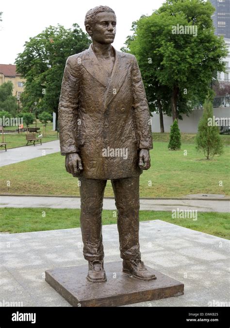 The statue of Gavrilo Princip, who assassinated Franz Ferdinand, heir Stock Photo: 84633645 - Alamy