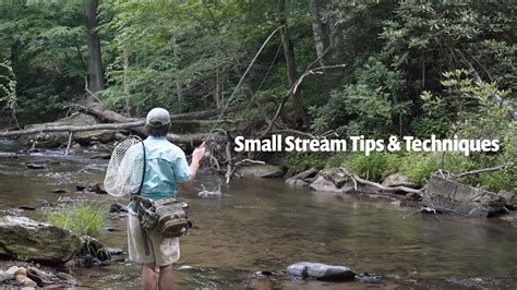 Small Stream tips & techniques | Fly Fishing for Wild Trout - Fishing