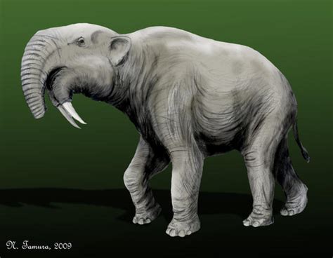 Deinotherium by NTamura on DeviantArt