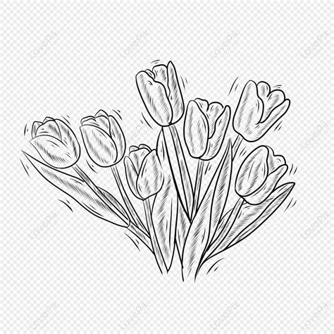 Black And White Line Plant Flower Tulip, Plant Outline, Stick Figure, White Flower PNG ...