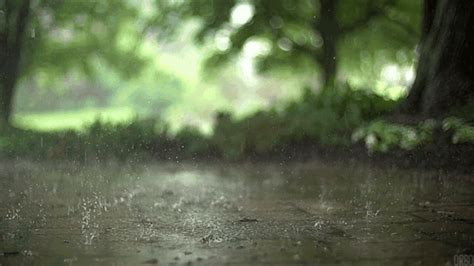 thevagueredhead: “chicagolovestaylor: “windtravler: “Here is some satisfying rain dropping ” I ...