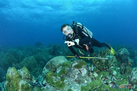 Join us for your diving adventures in Los Roques !!! Best Spot, making divers happy with the ...