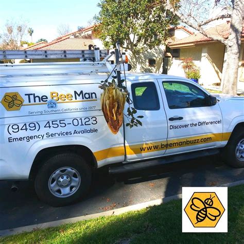 Stay at Home and Call Bee Removal Orange County When You Need Their Services