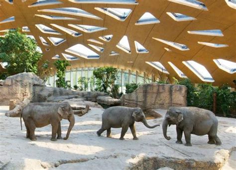 Zoo Zurich - 2021 All You Need to Know BEFORE You Go (with Photos) - Tripadvisor