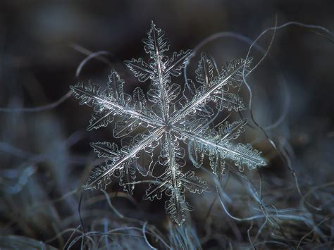 Snowflake | Real snowflake macro photo. Ideas for home and o… | Flickr