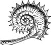 Fossil Clip Art | Free Clip Art & Vector Art At Clker