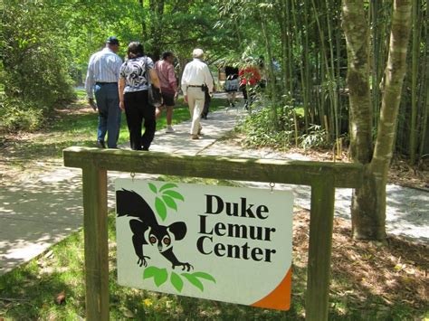 Duke Lemur Center | VisitNC.com