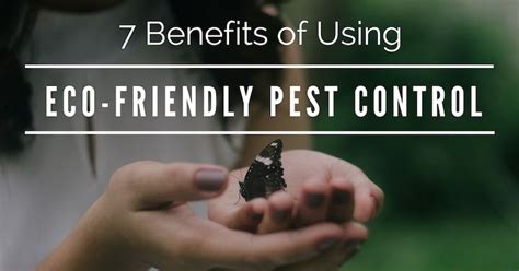 7 Compelling Reasons to Use Eco-Friendly Pest Control Techniques