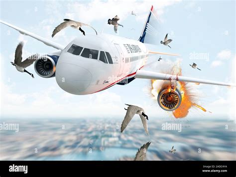 US Airways Flight 1549 incident. Illustration of the bird strike that disabled the Airbus A320 ...