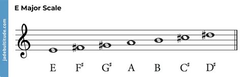 Chords in E Major: A Music Theory Guide