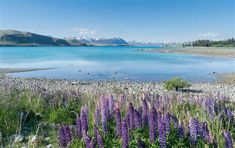 Lake Tekapo - Awe-inspiring Places