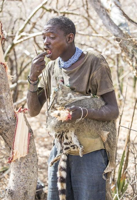 Hadzabe Man Looking for Honey in Trees Editorial Image - Image of lifestyle, huntergatherer ...