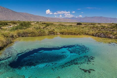 Acciones para el conocimiento y conservación de la biodiversidad de Cuatrociénegas - Fundación ...