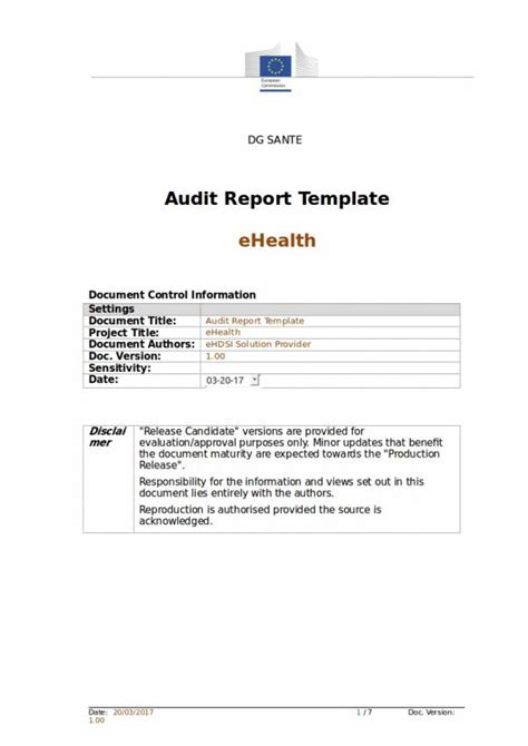 FREE 11+ External Audit Report Samples & Templates in PDF | MS Word