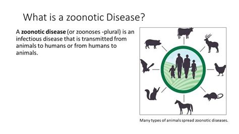 Essential Knowledge: Zoonotic Diseases - PEER Program (Youth STEM Promotion)