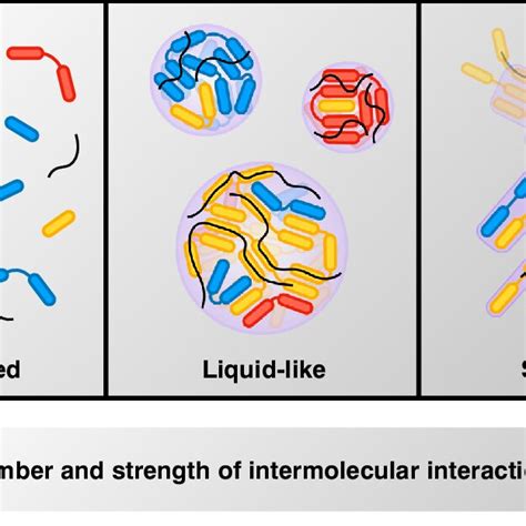 Structure and formation of biomolecular condensates. (A) RNA-binding... | Download Scientific ...