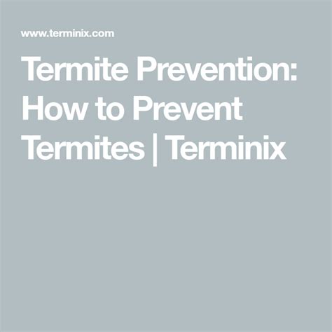 Termite Prevention: How to Prevent Termites | Terminix | Termite prevention, Termites, Prevention