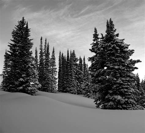 Winter Snow in Utah Photograph by Calli McNamara - Fine Art America