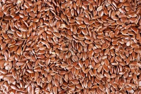 Flax seed 2018 crop for sale by Wangco Agri Export, Made in South Africa