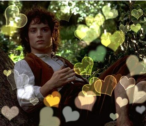 Pin by aila wood on Elijah | Elijah wood, Frodo baggins, Frodo