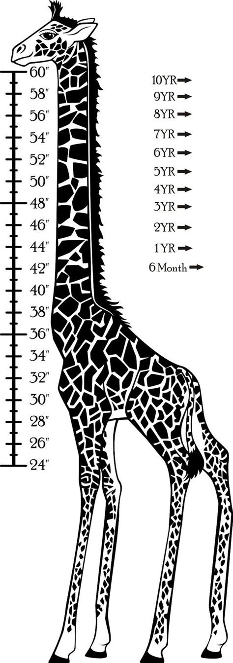 Printable Giraffe Height Chart