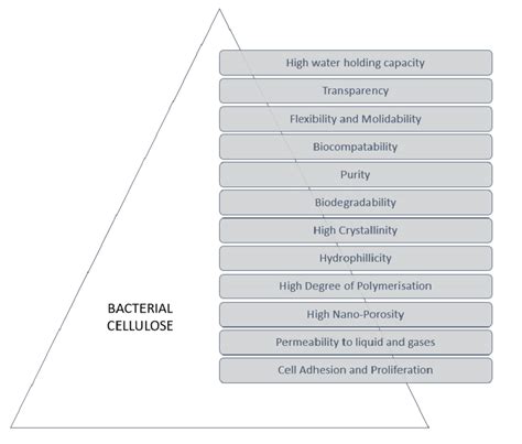 Properties of bacterial cellulose. [6] | Download Scientific Diagram