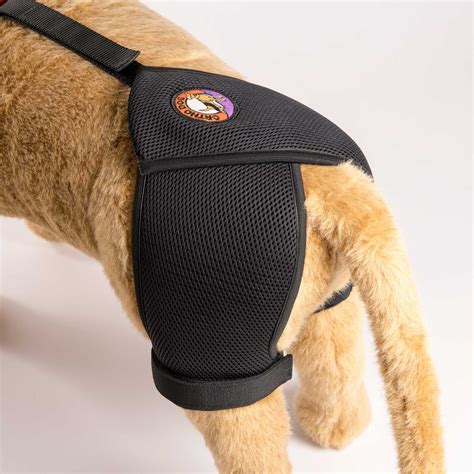 Dog Hip Brace for Dysplasia and Arthritis - Ortho Dog Hip Hound