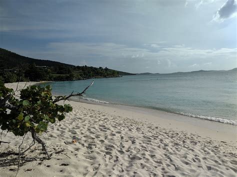 Caneel Bay beach 🏖️ Cruz Bay, St.John island, United States Virgin Islands - detailed features ...