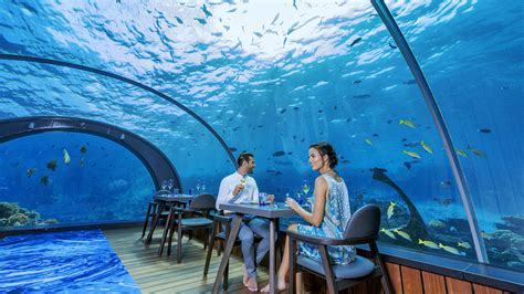 How Much Is The Underwater Hotel In Maldives | Psoriasisguru.com