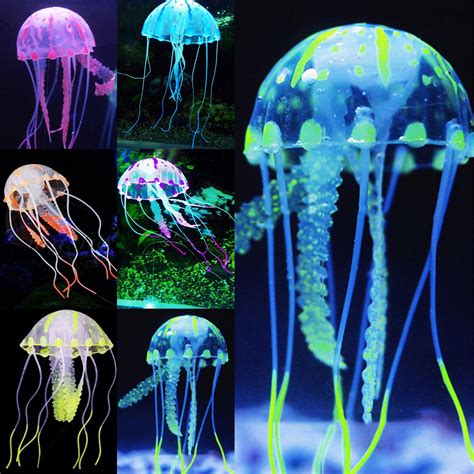 Glow Jellyfish