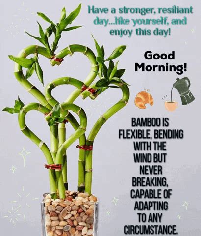 Good Morning Images New 2023 Bamboo GIF - Good morning images new 2023 Bamboo - Discover & Share ...