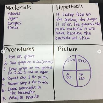 How To Set Up A Bacterial Culture Lab - Science Lessons That Rock