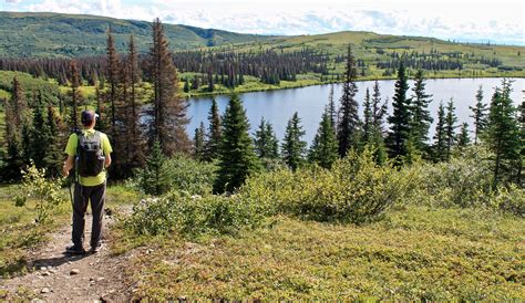 Hiking Alaska: Denali State Park – Wandering La Vignes