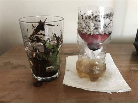 Create a Water Filter from Recycled and Natural Materials - Pinnguaq